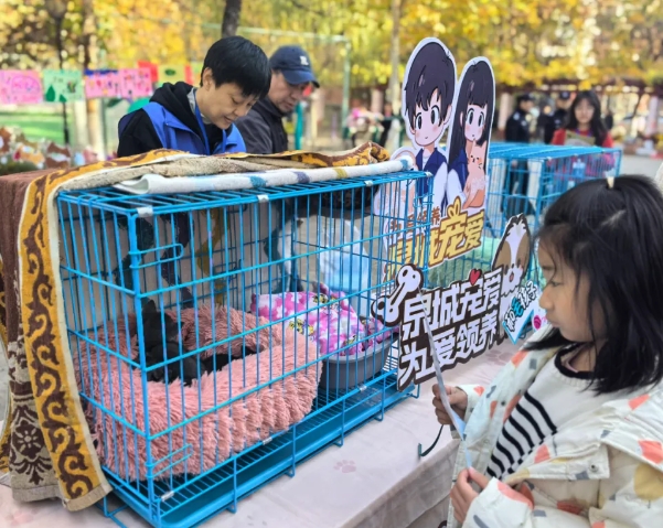 文明養(yǎng)寵，寵愛有方！魯商服務(wù)萌寵生活節(jié)圓滿落幕